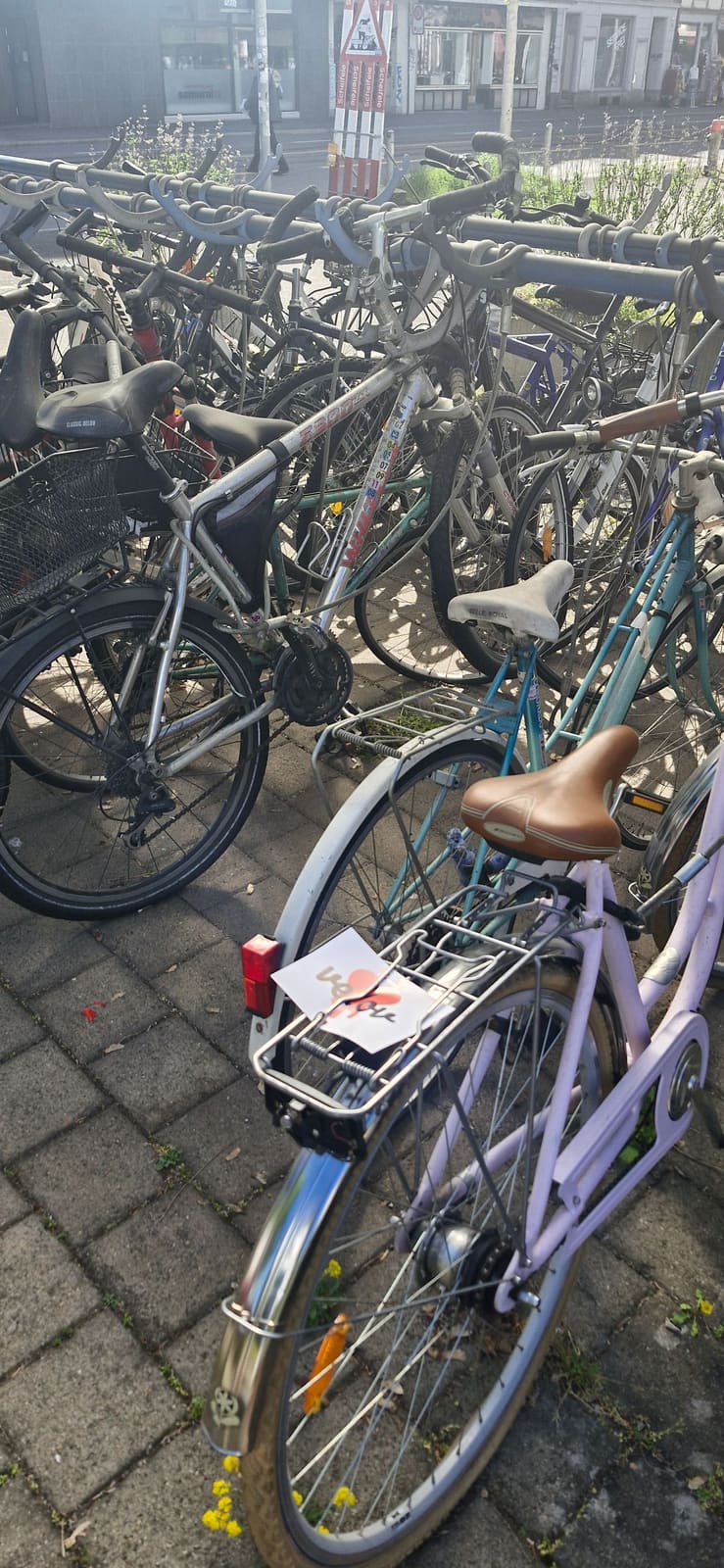 Dicht gedrängte Velo-Ständer in der Zürcher Innenstadt — genau das Bild, das Diebe anzieht